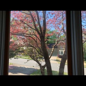 Meet your Posher, Rocio